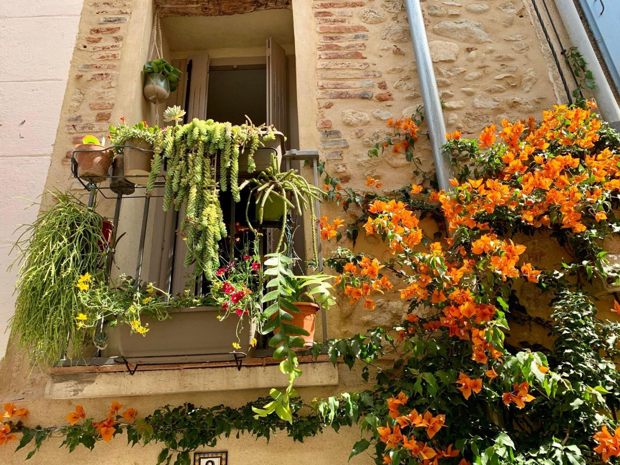 Maison Historique Rue Vermeille Argeles Sur Mer Exteriér fotografie
