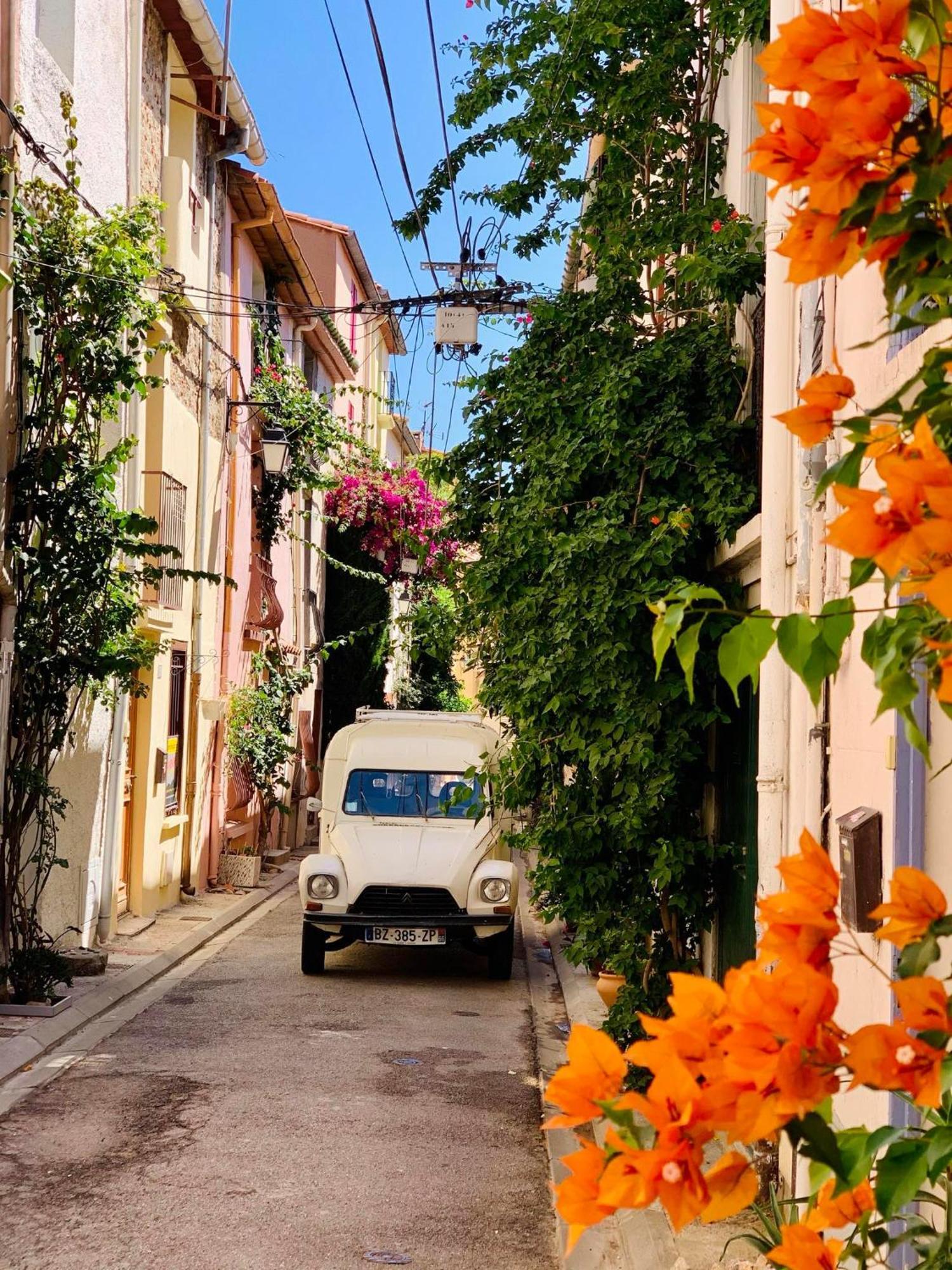 Maison Historique Rue Vermeille Argeles Sur Mer Exteriér fotografie